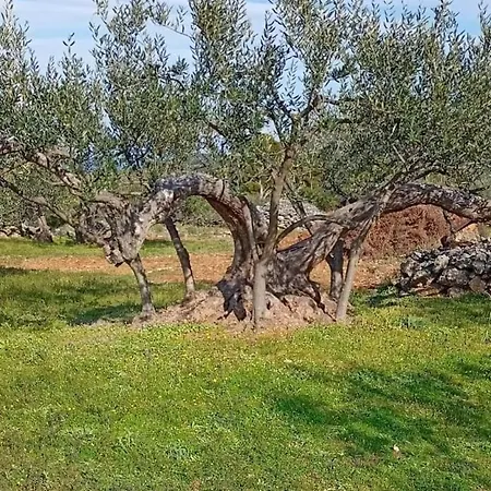 Stone House Zora * Stari Grad (Hvar)
